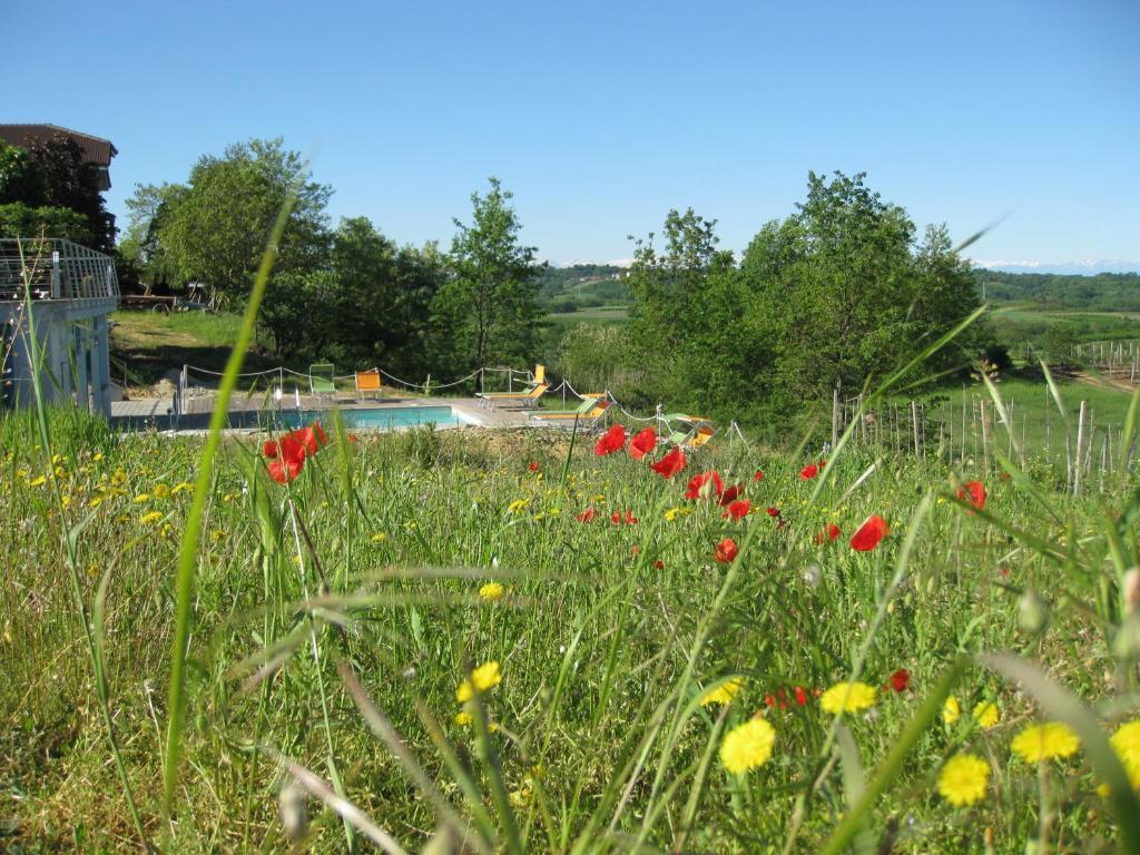 Agriturismo Cascina Ponchietta Montà Eksteriør billede