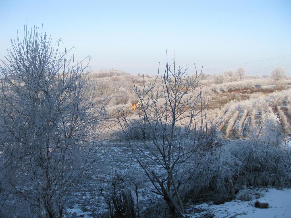 Agriturismo Cascina Ponchietta Montà Eksteriør billede
